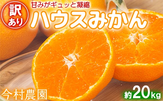 
                  【訳あり・優品】今村農園のハウスみかん 約20kg みかん 柑橘 20kg わけあり 先行予約 7月 8月 フルーツ ＜107-005＞
                