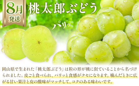 【2027年発送先行予約】【3か月定期】岡山のぶどう 3種食べ比べ 計2.1kg【配送不可地域あり】ﾏｽｶｯﾄ ﾋﾟｵｰﾈ