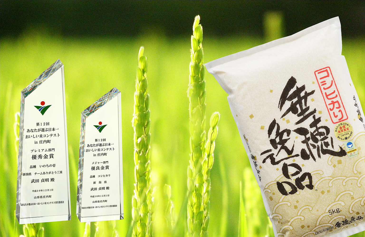 
                  【令和7年産】コシヒカリ 白米10kg × 3か月定期便 お米コンテストで金賞、武田農園の情熱米コシヒカリ FC077001
                