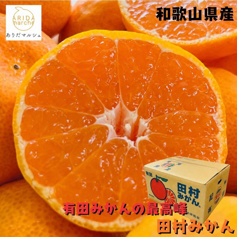 【ふるさと納税】 【和歌山特産品】 【プレミアムブランド】 絶品!濃厚 田村みかん （選べるサイズ） 秀品 訳あり 5～10kg / みかん 有田 フルーツ 果物 柑橘 ※2026年11月下旬～12月下旬頃に順次発送 ※北海道・沖縄・離島配送不可