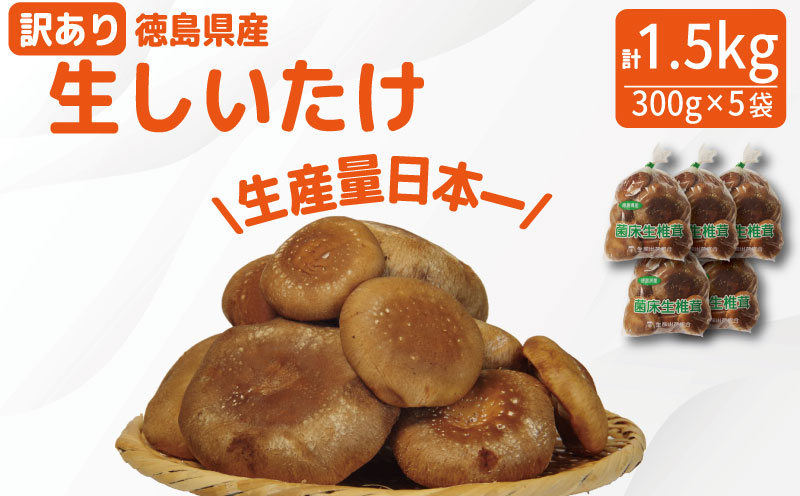 訳あり しいたけ 生 1.5kg 300g×5袋 徳島県産 国産 きのこ 茸 菌床椎茸 菌床栽培 菌糸 椎茸 生しいたけ 野菜 産地直送 ビタミンD 食物繊維 グアニル酸 低カロリー 健康 ダイエット