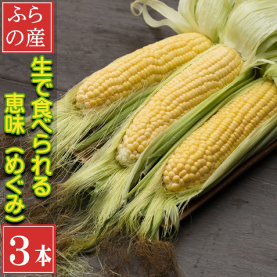 
                  2026年先行予約　「生」で食べられるトウモロコシ　恵味　3本入り【1532711】
                