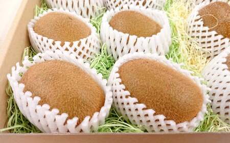 キウイフルーツ グリーン×1箱(目安：12～15個) 家庭用 キウイフルーツ