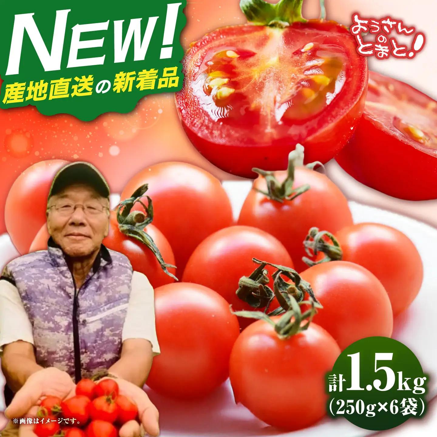 【先行予約】完熟ミニトマト 1.5kg [JHC001] トマト 野菜