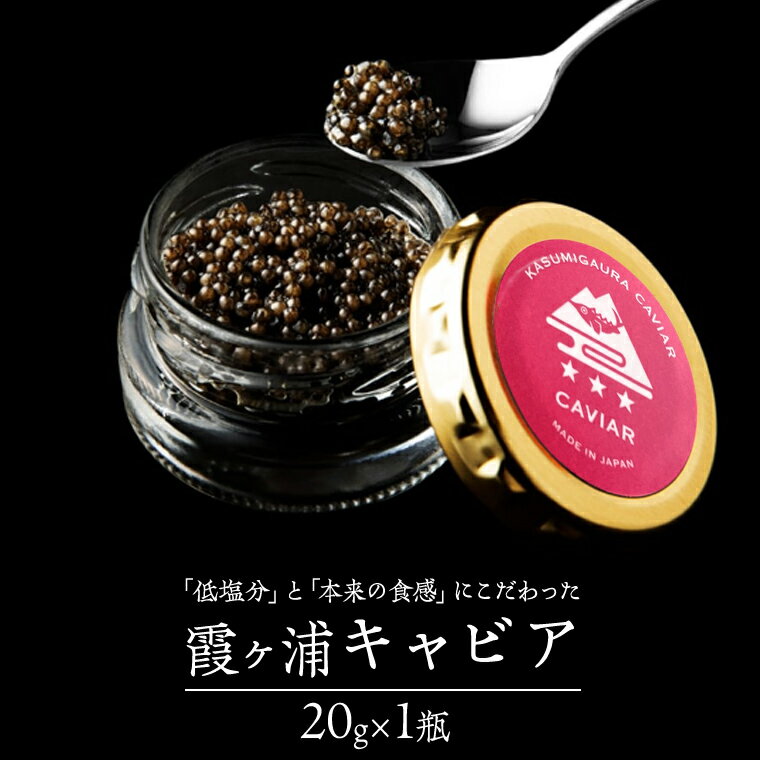 【ふるさと納税】 霞ヶ浦キャビア 20g×1 高級食材 記念日 誕生日 世界三大珍味 キャビア 国産キャビア 茨城県産