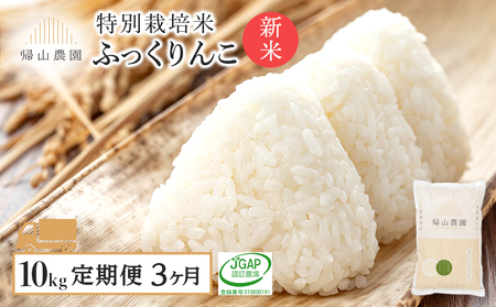 【令和7年産新米予約】【3カ月定期便】特別栽培米産地直送「ふっくりんこ 10kg」《帰山農園》 米 こめ 北海道産お米 北海道米 美味しいお米 北海道産米 道産米