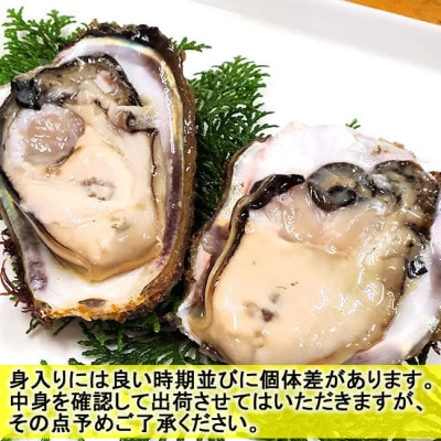山陰の岩ガキ・サザエ詰合(大きさにより各6～10個)牡蠣は殺菌済　下処理済　生食OK　さざえ砂抜き済【配送不可地域：離島・北海道・沖縄県・東北・関東・九州】