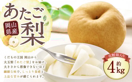 岡山県産 あたご梨 3～6玉 （約4kg） 化粧箱入り 【2026年11月下旬～12月下旬迄発送予定】 ／ なし 和梨 果物 果実 フルーツ 大玉 岡山県 美咲町 常温