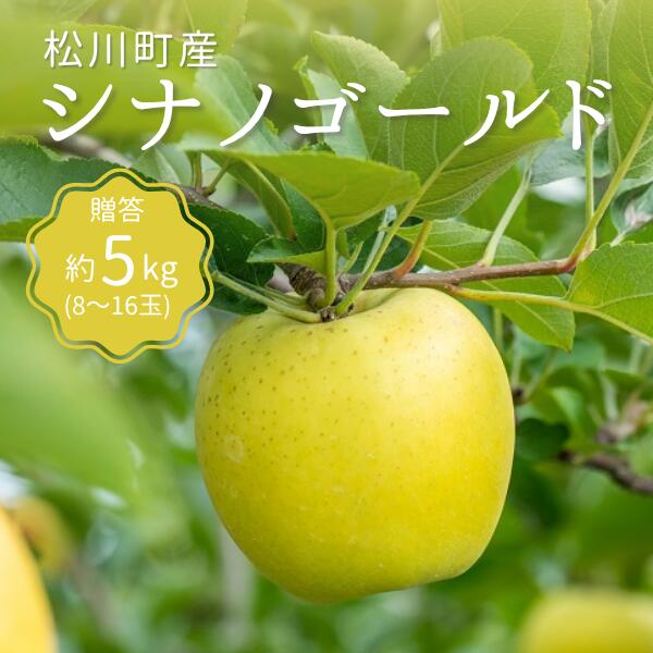 【ふるさと納税】 シナノゴールド 贈答 約5kg（8～16玉） りんご 長野県 松川町 南信州　KR12