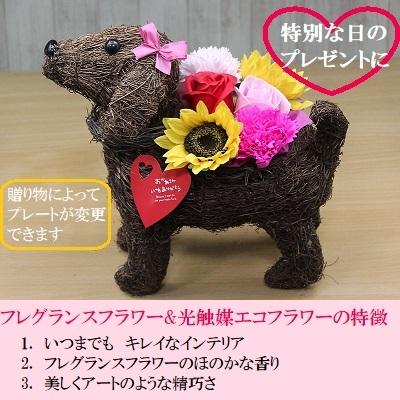 ふるさと納税 笠岡市 フレグランスフラワー&光触媒エコフラワー「番犬くんL」 |  | 02