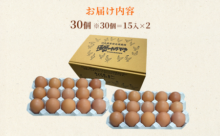 【定期便】かわなべ鶏卵農場のこだわりのたまご深美たまご30個2ヶ月連続お届け/こだわり 国産 青梅市産 鶏 鳥 卵 たまご タマゴ 玉子 朝食 卵かけご飯 ＴＫＧ ゆでたまご 赤玉 卵黄 卵白 健康 
