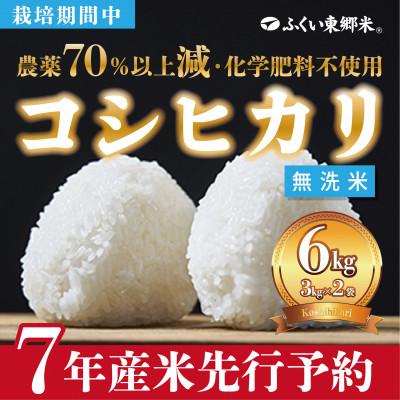 ふるさと納税 福井市 令和7年産 ふくい東郷米 特別栽培米 栽培期間中農薬70%減コシヒカリ 無洗米3kg×2袋【真空袋】