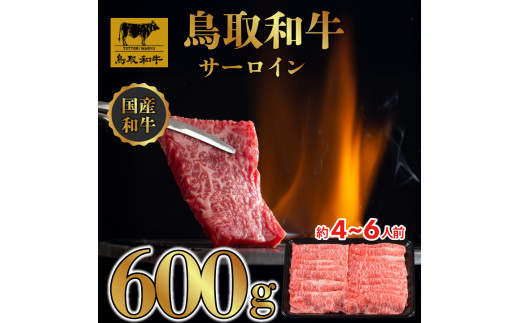 DN-15 鳥取和牛サーロインしゃぶしゃぶ・すき焼き 600g（300g×2P）