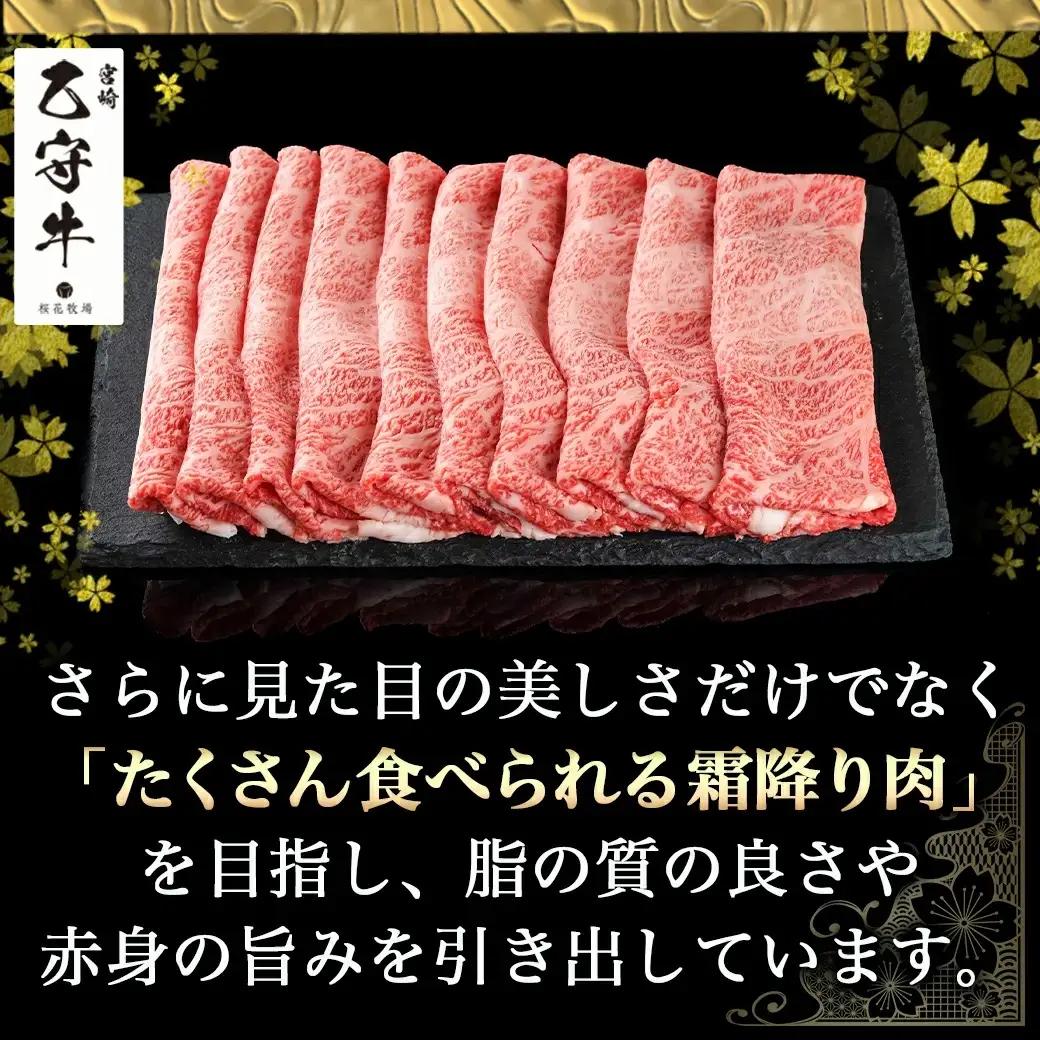 数量限定！【宮崎牛A5】肩ロースすきしゃぶ500g(乙守牛)〔24-6503〕_(都城市) 都城産宮崎牛 乙守牛 A5 肩ロースすきしゃぶ 500g×1パック 牛肉 