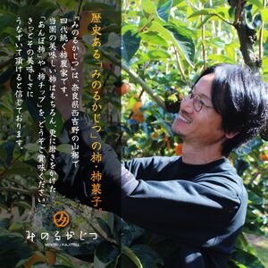 甘熟あんぽ柿『和菓』 贈答用（10個入） | フルーツ 果物 くだもの 柿 干し柿 かき カキ お菓子 あんぽ柿 和菓子 ギフト 奈良県 五條市 みのるかじつ 贈答 プレゼント 西吉野 刀根柿 セミド