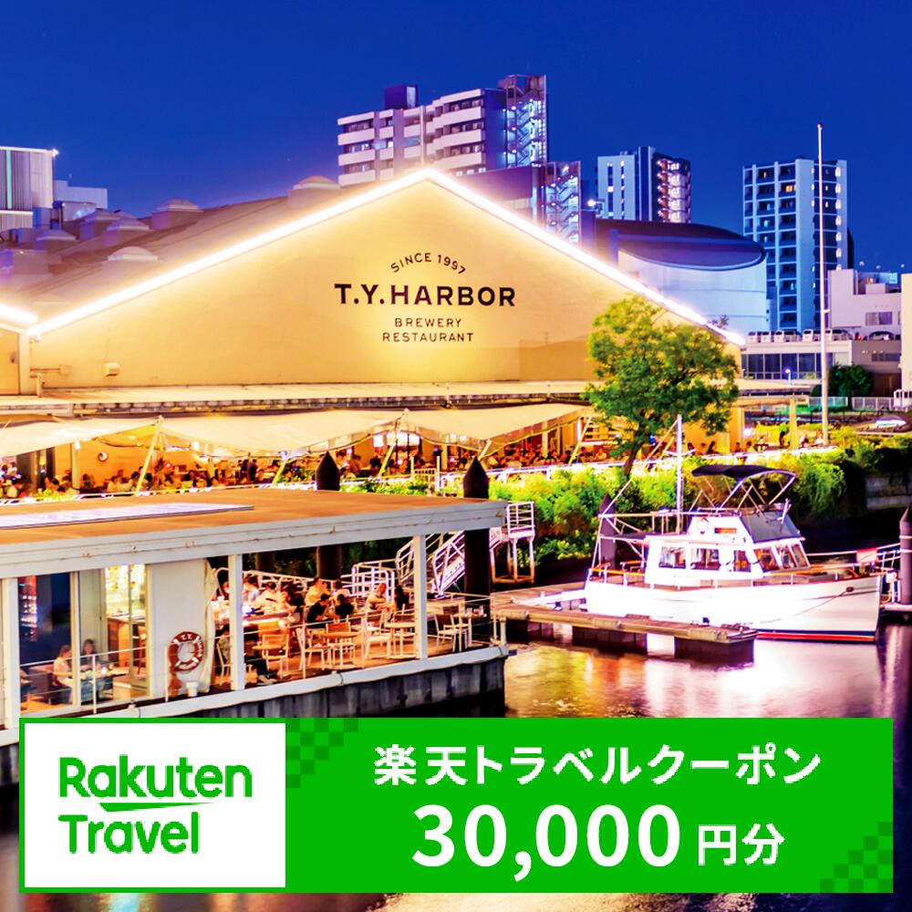 【ふるさと納税】東京都品川区の対象施設で使える楽天トラベルクーポン 寄付額100,000円