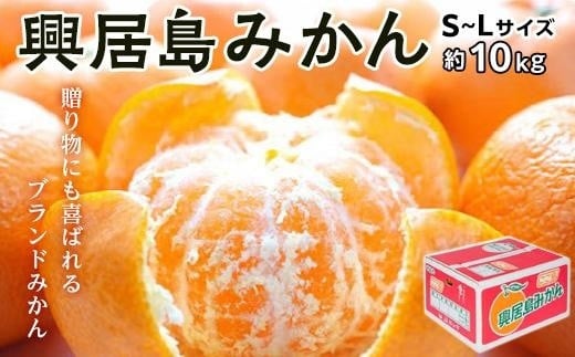 【2026年11月下旬頃から順次発送】 興居島 みかん S～L サイズ 約10kg | 愛媛 みかん 先行予約 蜜柑 柑橘 果物 くだもの フルーツ お取り寄せ グルメ 期間限定 数量限定 人気 おす