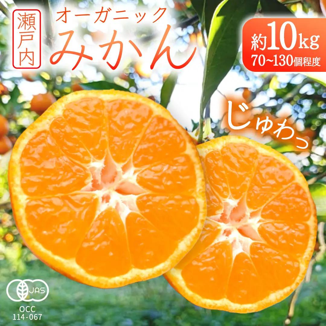 オーガニック 瀬戸内みかん 先行予約 有機JAS認証 中原観光農園 約10kg (70～130個程度) 国産 広島 大崎上島町産 【 2026年 10月 中旬～1月 発送 】