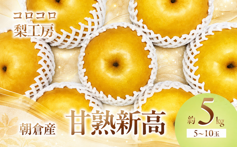 梨 新高梨 甘熟 味に自信あり！！約5kg 5～10玉入 配送不可 離島 ナシ 果物 フルーツ 先行予約 