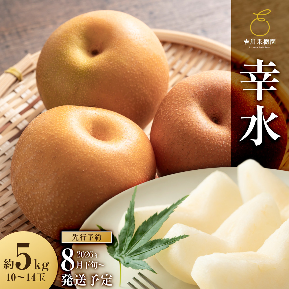 【2026年分先行予約】 梨 幸水 約５kg（約10～14玉）8月下旬～順次発送【吉川果樹園】 ｜ 梨 和梨