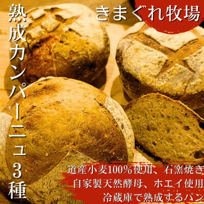 【ふるさと納税】北海道産小麦100%使用、石窯焼き・自家製天然酵母・ホエイ使用の冷蔵庫で熟成するカンパーニュ3種【配送不可地域：離島】【1492845】