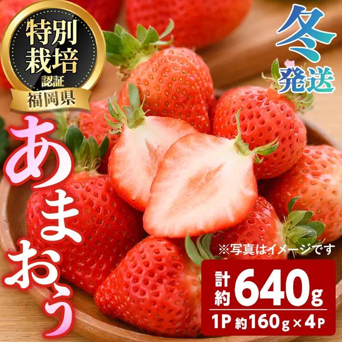 ＜先行予約受付中！2026年12月～2027年2月発送予定＞ うるう農園の あまおう MLサイズ (計約640g・約160g×4P) 苺 いちご イチゴ 果物 フルーツ 国産 福岡県 ヨーグルト ジャム スムージー 冷蔵 冬発送 特別栽培 ＜離島配送不可＞【ksg1954】【うるう農園】