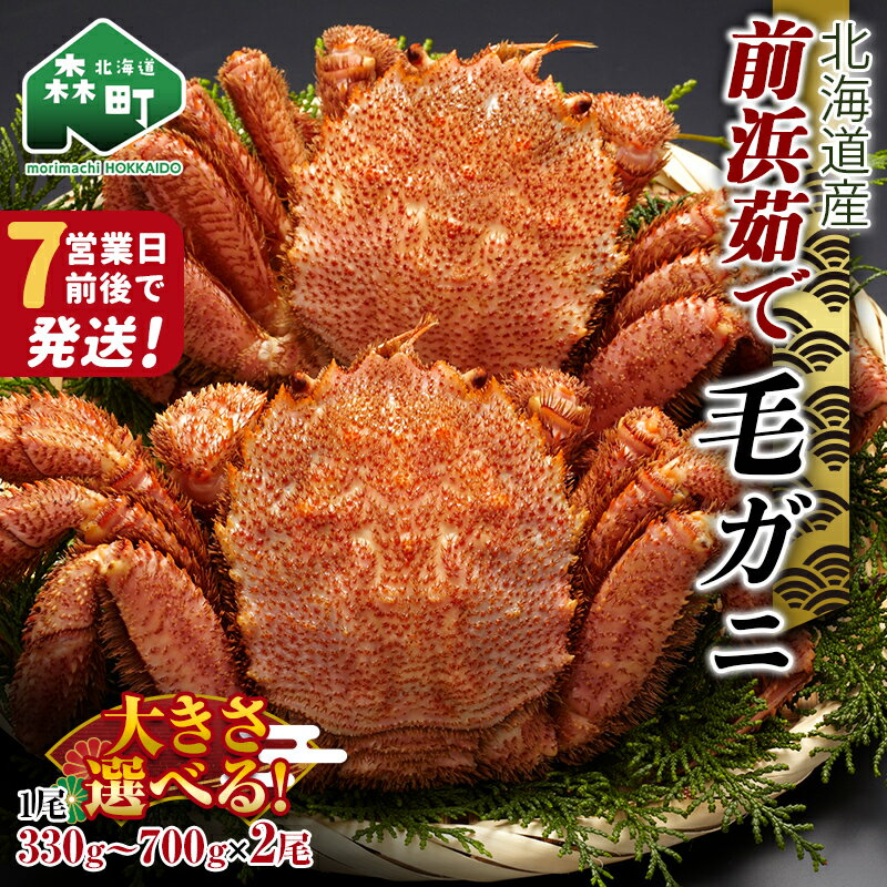 【ふるさと納税】北海道 毛ガニ 容量が選べる 前浜茹で毛がに 約330～700g×2尾 ＜株式会社 鳥潟＞ かに カニ 蟹 ガニ がに 森町 北海道 毛蟹 毛かに 毛ガニ 毛カニ mr1-0734