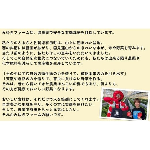 ＜予約受付＞10月下旬より順次発送「若き百姓の覚悟」佐賀県 ヒノヒカリ 米 5kg 【みゆきファーム】 ブランド米 精米済み 白米 有田町 令和8年産 新米 ft007_イメージ3