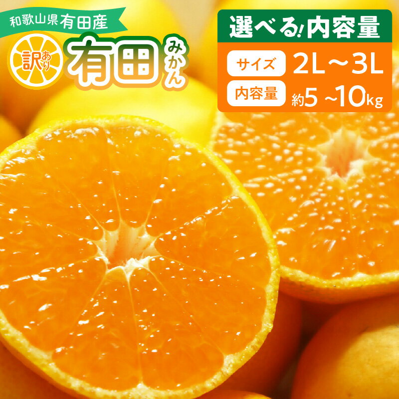 【ふるさと納税】【限定】【2025年先行予約】 有田みかん 大玉 訳あり 選べる 内容量 5kg ～ 10kg 和歌山県 湯浅町 送料無料