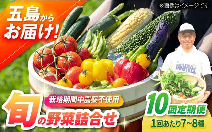 【全10回定期便】自然栽培・旬の野菜詰め合わせ 五島市/ぷらっと農園 [PDS010]