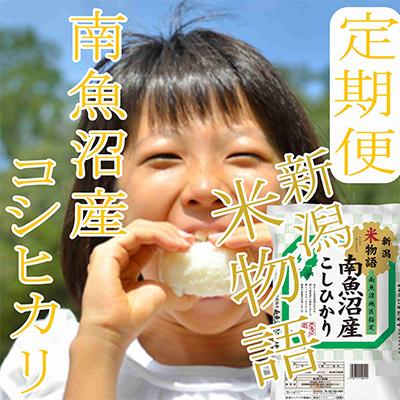 ふるさと納税 南魚沼市 【毎月定期便】【米物語●4Kg】南魚沼産コシヒカリ 全12回 |  | 01