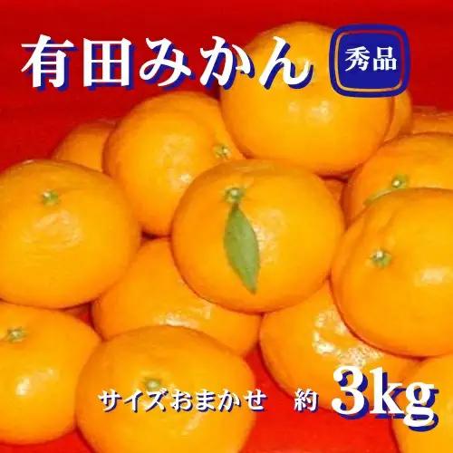 紀州有田みかん 秀品 ３kg（L・M・Sサイズおまかせ）　※2026年11月24日より順次発送予定/ みかん ミカン フルーツ 果物 くだもの 柑橘 和歌山 【sml128A】 
