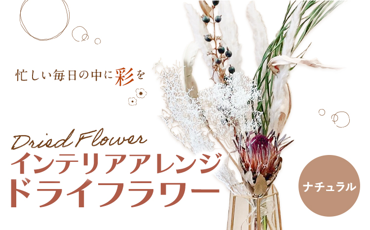 ドライフラワー インテリアアレンジ ナチュラル 7種類12本以上 ドライフラワー アレンジ デザインおまかせ フラワーアレンジ インテリア ラッピング 花 送料無料《90日以内に出荷予定(土日祝除く)》---123-2470-N---