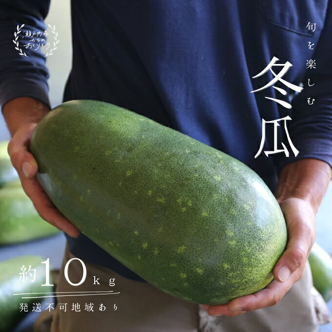 【ふるさと納税】冬瓜 （ とうがん ）約10kg 瀬戸内 牛窓産 野菜 夏野菜 　お届け：2026年8月上旬〜2026年8月下旬