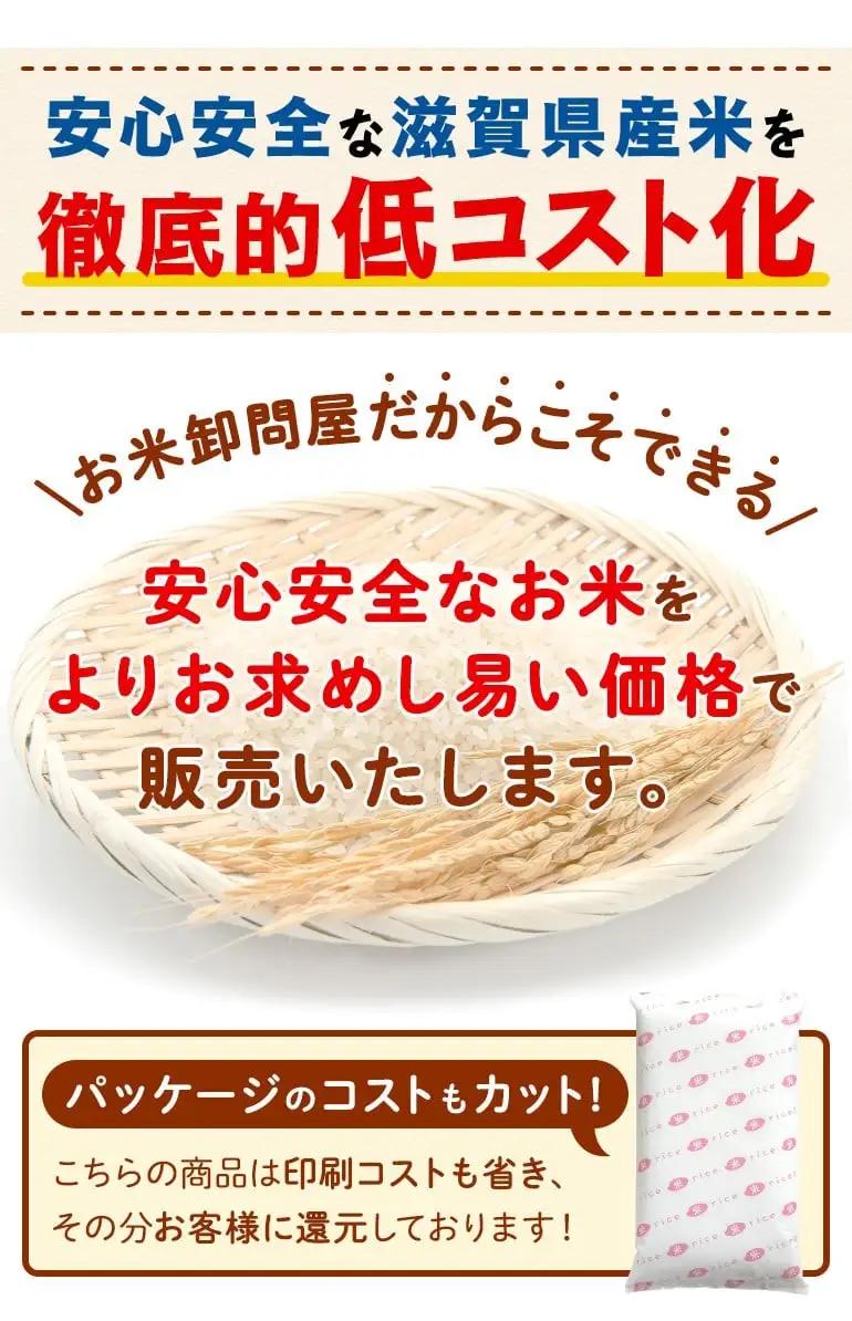 こしひかり 20kg 白米 コシヒカリ 米 こめ ご飯 近江米 お弁当