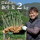 【ふるさと納税】【先行予約・2024年11月】農家直送！秋の新生姜 2kg 高知県産 しょうが 新鮮 ショウガ 期間限定 生姜 高知