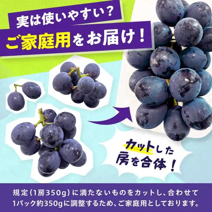 【先行予約 2027年7月下旬より発送】【ご家庭用】種無し巨峰 約350g×4P ぶどう [AFAB086] 果物