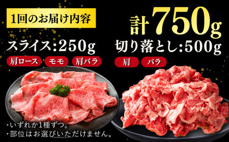 【訳あり】博多和牛 しゃぶしゃぶ すき焼き 750gセット   桂川町/株式会社 MEAT PLUS[ADAQ024]