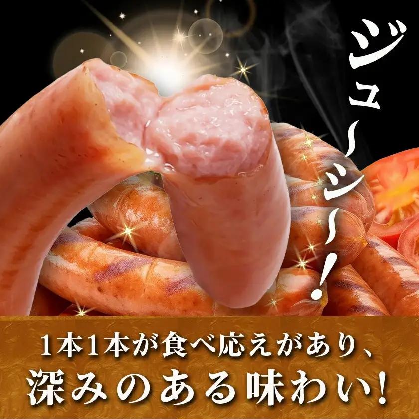 存在感のあるポークソーセージ1kg〔AA-N403〕