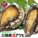 【ふるさと納税】 三陸産 活アワビ 約500g（3〜4個) / 約1kg ( 6〜8個)【期間限定11月〜12月発送】【配送日・曜日指定不可】