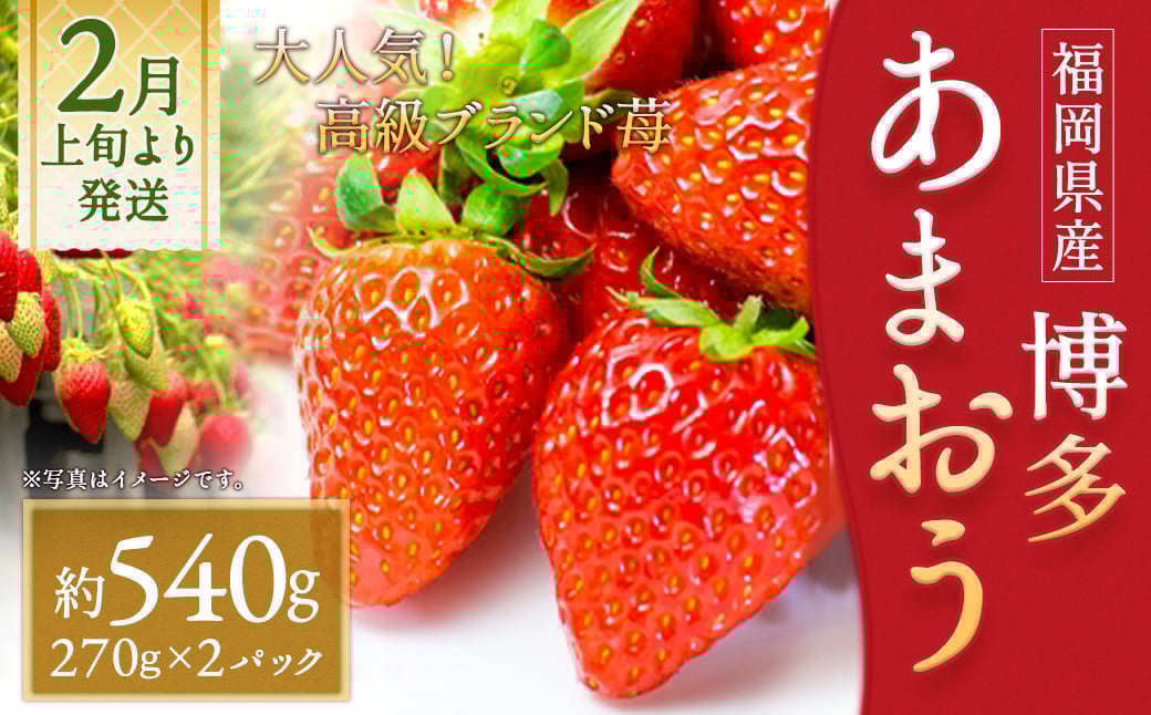 
            いちご「あまおう」 約270g×2パック 合計 約540g【2026年2月上旬～3月下旬発送】
          