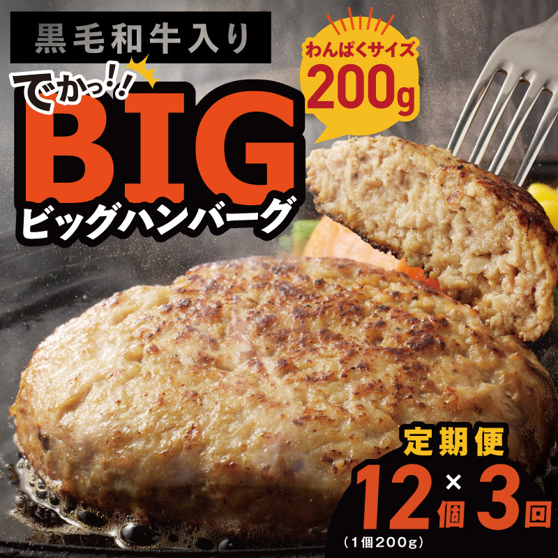 【定期便】黒毛和牛入り BIGハンバーグ（200g×12個）全3回 【毎月配送コース】 099Z412