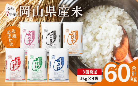 【3ヶ月定期便】【令和7年産米】岡山県産米 20kg (5kg×4袋) × 3回　計60kg （令和7年11月上旬以降発送）【定期便 お米 ランダム 配送 ヒノヒカリ にこまる 朝日 アケボノ あきたこまち 令和7年産 米 精米】