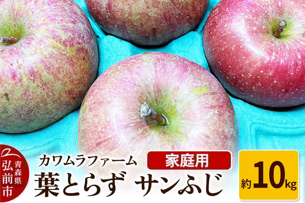 
            りんご【先行受付】葉とらず サンふじ 約10kg カワムラファーム 家庭用
          