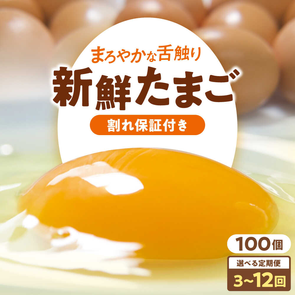 【ふるさと納税】選べるお届け回数！ 卵 平飼い 海草たまご 10パック（100個入り）割れ保証あり 愛媛県大洲市/和田養鶏場 卵 定期便 卵かけご飯 平飼い たまご タマゴ 鶏卵 卵料理 玉子 [AGDQ014]