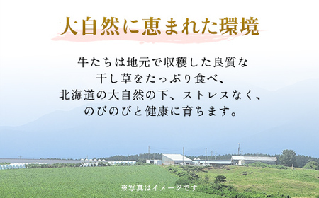 【肉の割烹田村】北海道産ブランド牛の赤身2kg(スライス1600g・切り落とし400g)【配送不可地域：離島】 牛肉 牛 スライス 切り落とし すき焼き しゃぶしゃぶ 北海道 美幌町 送料無料 BHR