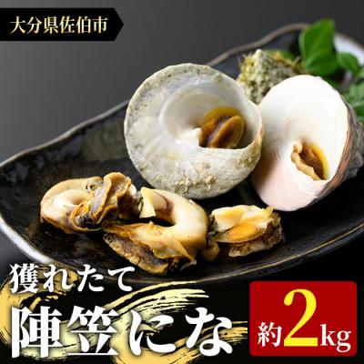 ふるさと納税 佐伯市 陣笠にな(約2kg)