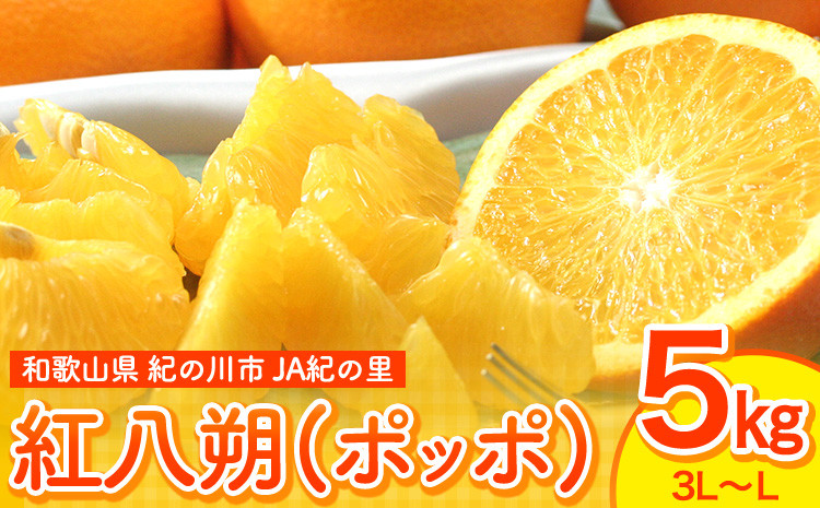 
            【先行予約】はっさく 八朔 紅八朔(ポッポ) 5kg(3L-Lサイズ) JAわかやま 紀の里地域本部 《2026年3月中旬-3月末頃出荷》 和歌山県 紀の川市 果物 フルーツ 柑橘 はっさく
          