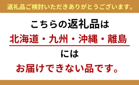 八ヶ岳創響 audio video スピーカー ※配送不可地域あり エンジェル