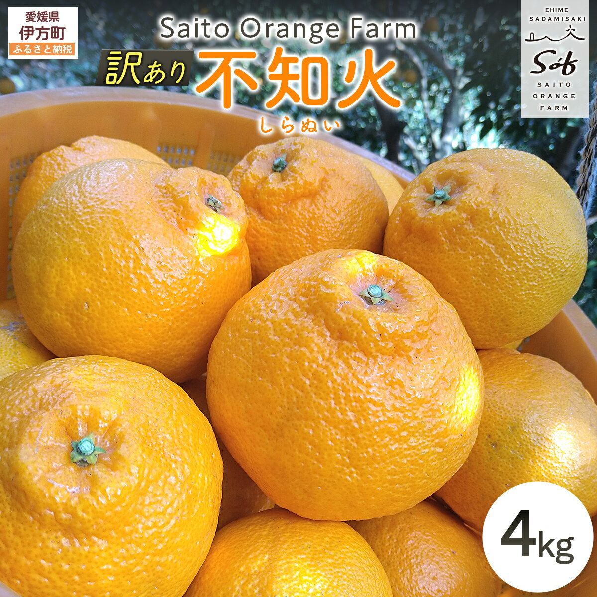 【ふるさと納税】【先行予約】Saito Orange Farmの訳あり不知火4kg（2027年3月上旬頃より順次発送予定） ふるさと納税 人気 おすすめ みかん 柑橘 不知火 しらぬい フルーツ 果物 西宇和 Saito Orange Farm 訳あり 愛媛県 伊方町 送料無料 IKTAQ011